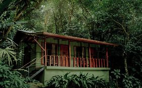 Jaguarundi Lodge - Monteverde